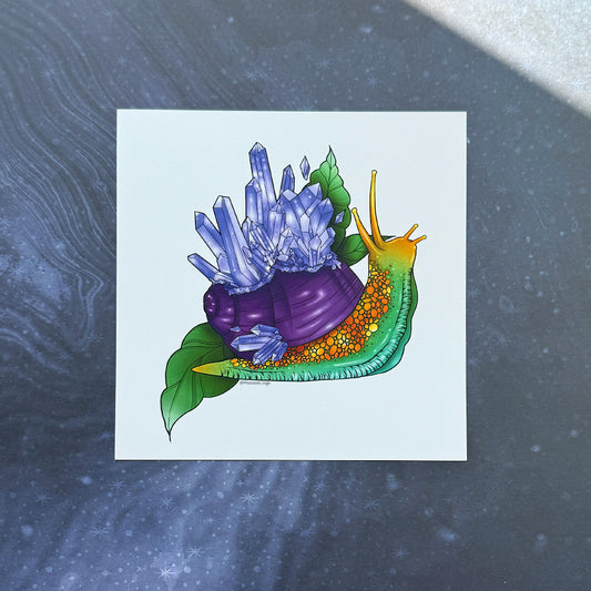 Crystal Snail 6x6 Art Print