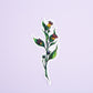 Belladonna Sticker